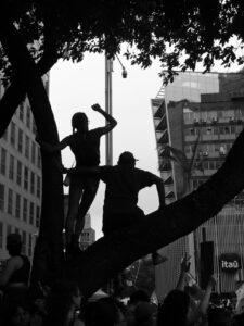 Urban Frontier Insights