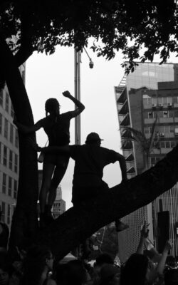 Urban Frontier Insights