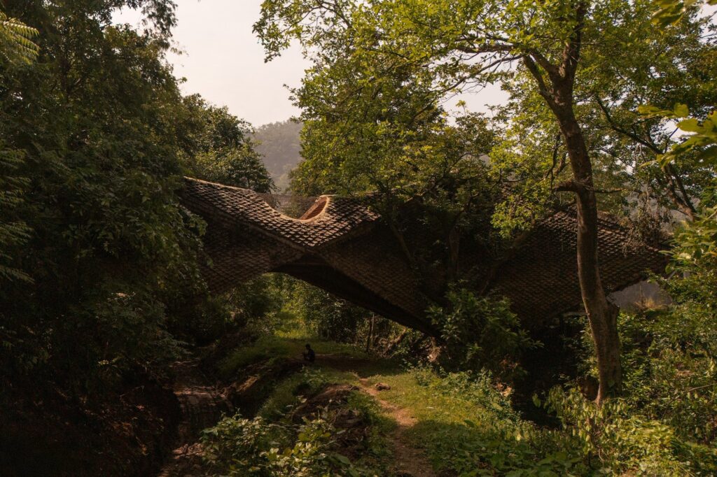 The bridge rising out of the dense foliage of the gorge
