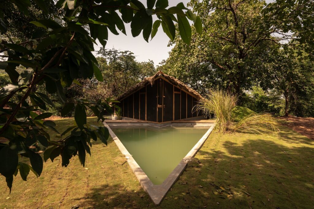 The house and water body seen through the trees