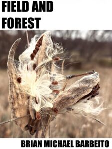 Urban Frontier Insights