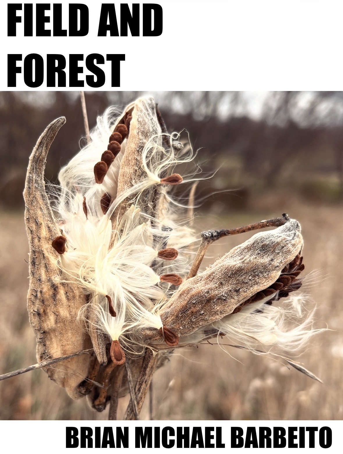 Cover showing a seed pod opening in a winter field