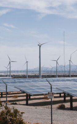 Urban Frontier Insights