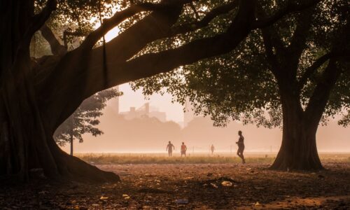 Urban Frontier Insights