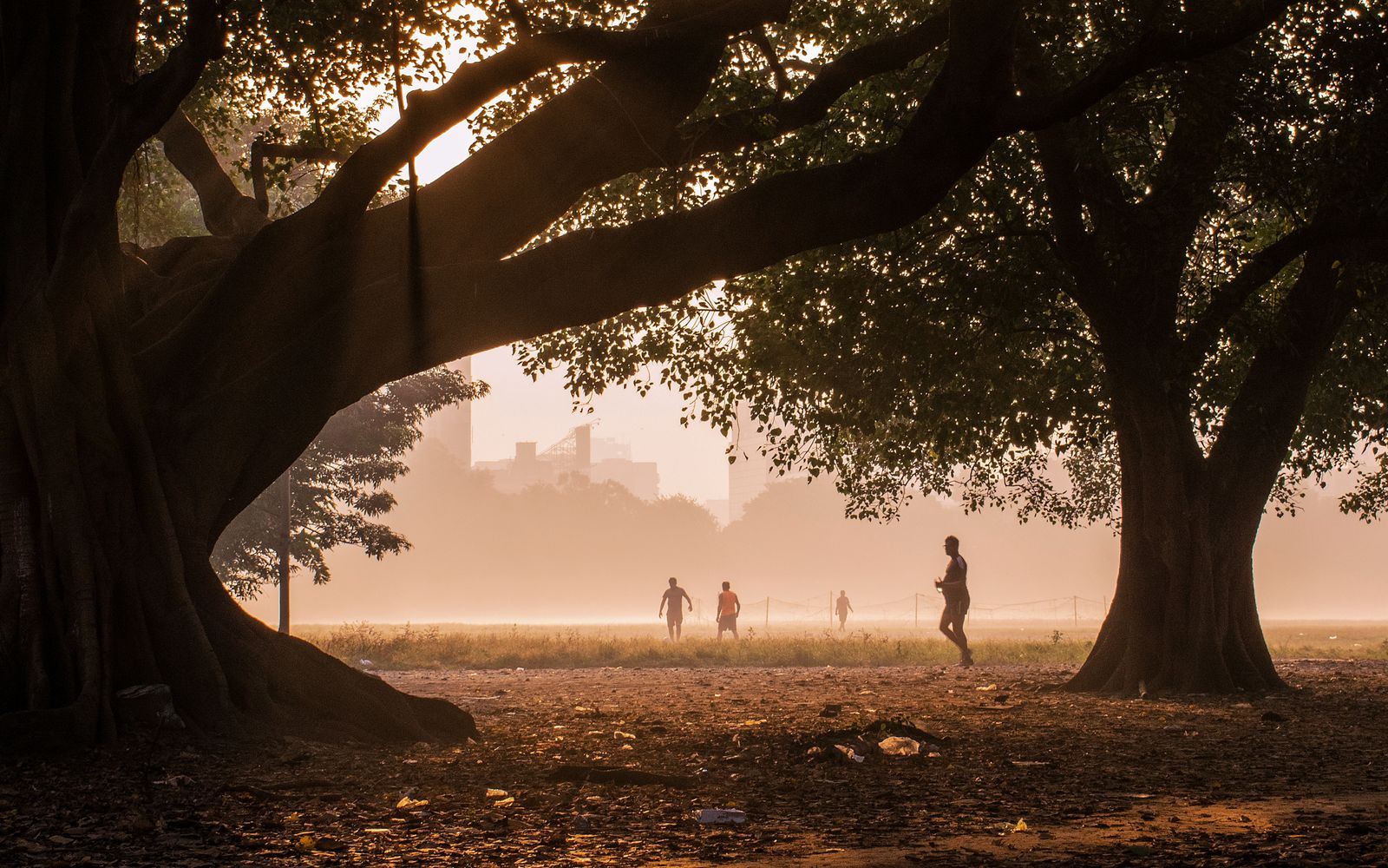 Joggers in a Kolkata park at sunrise under large old trees