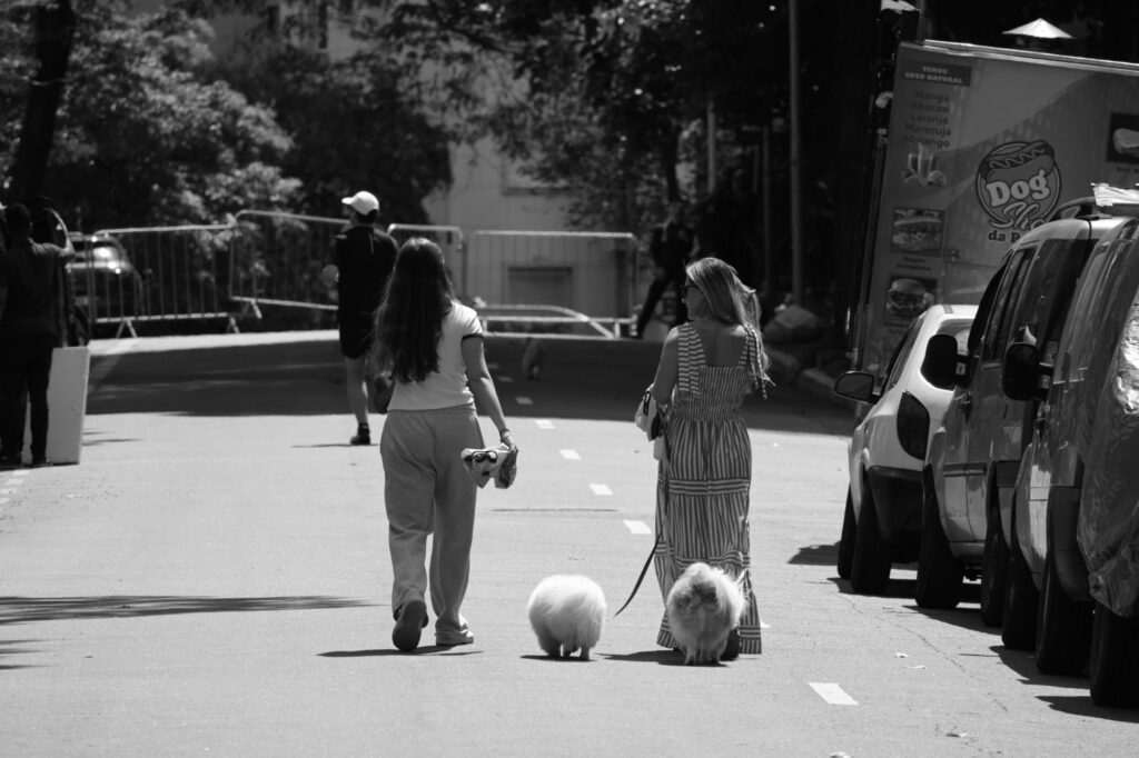Two women walk with dogs away from the busiest part of the demonstration. Their ordinary activity continues within the same urban setting as the political gathering, without any implication about their opinions of it.