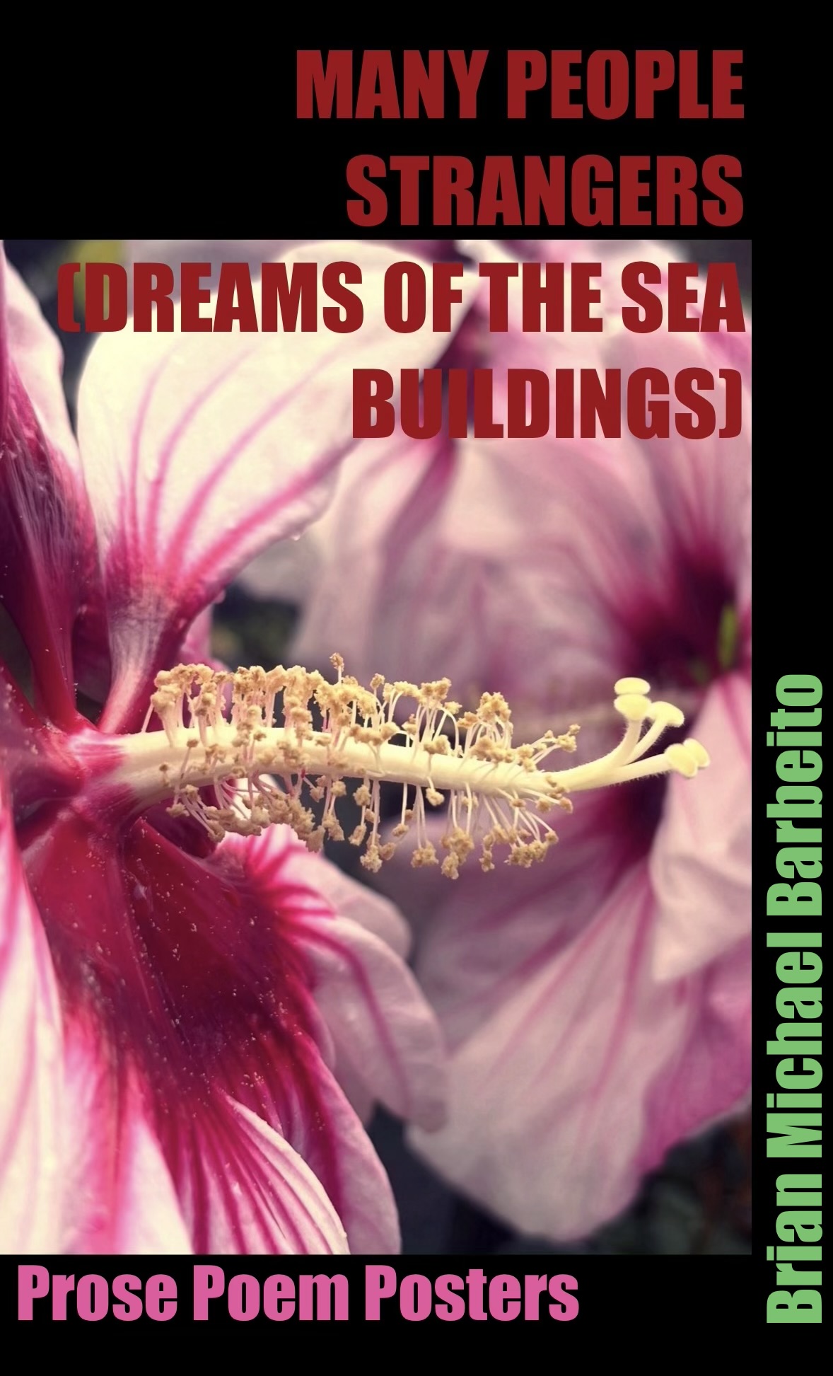 Cover poster showing a hibiscus flower in close-up