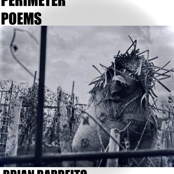 Urban Frontier Insights
