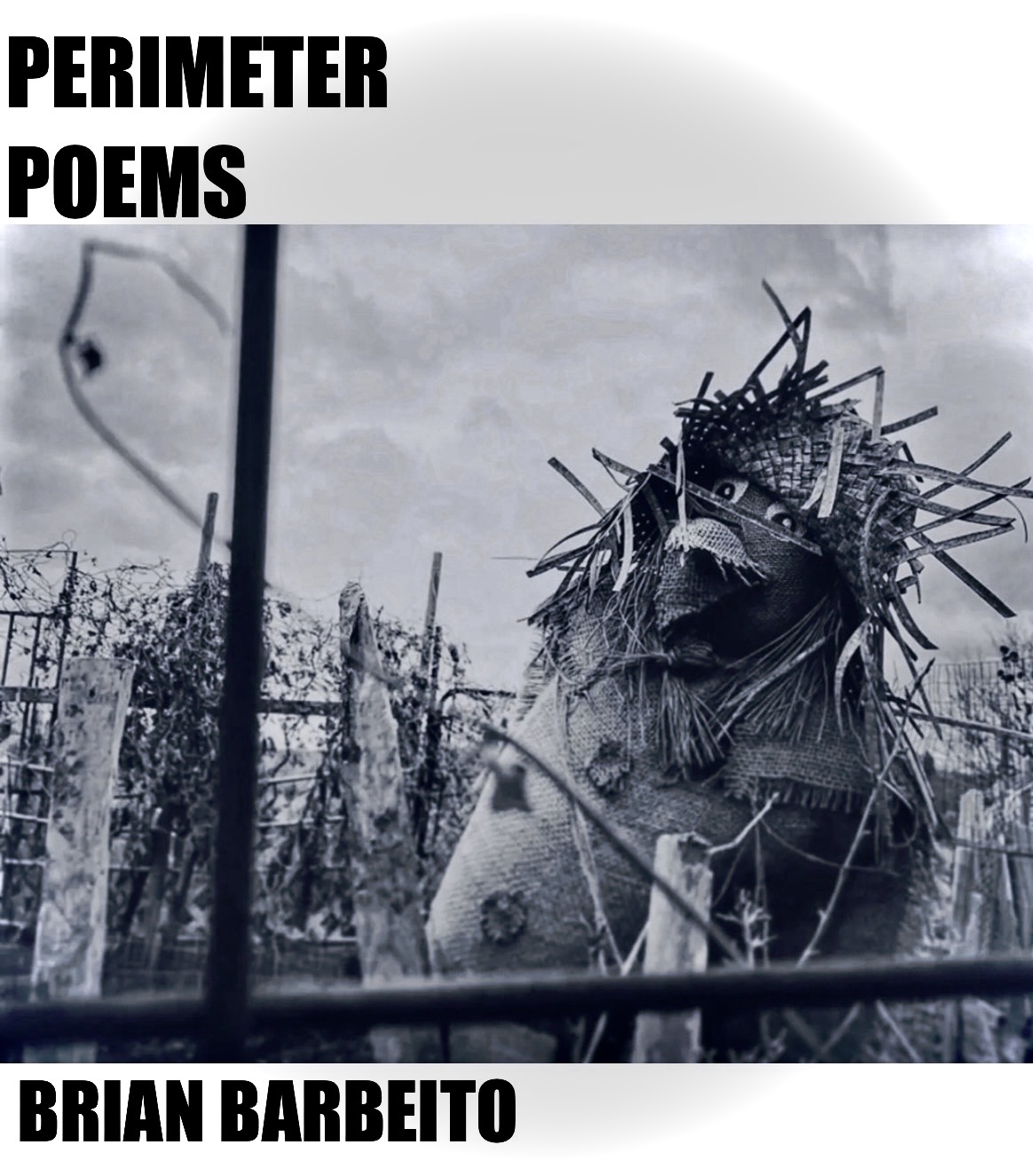 Cover showing a scarecrow in black and white behind wire