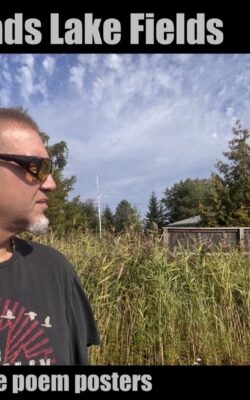 Urban Frontier Insights