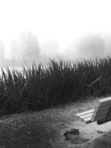 Urban Frontier Insights