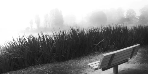 Urban Frontier Insights