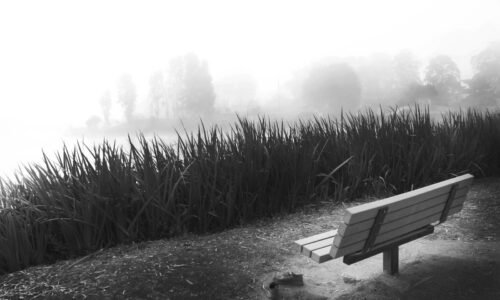 Urban Frontier Insights