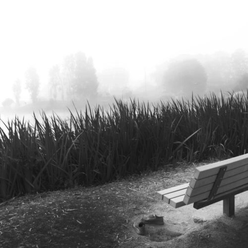Urban Frontier Insights