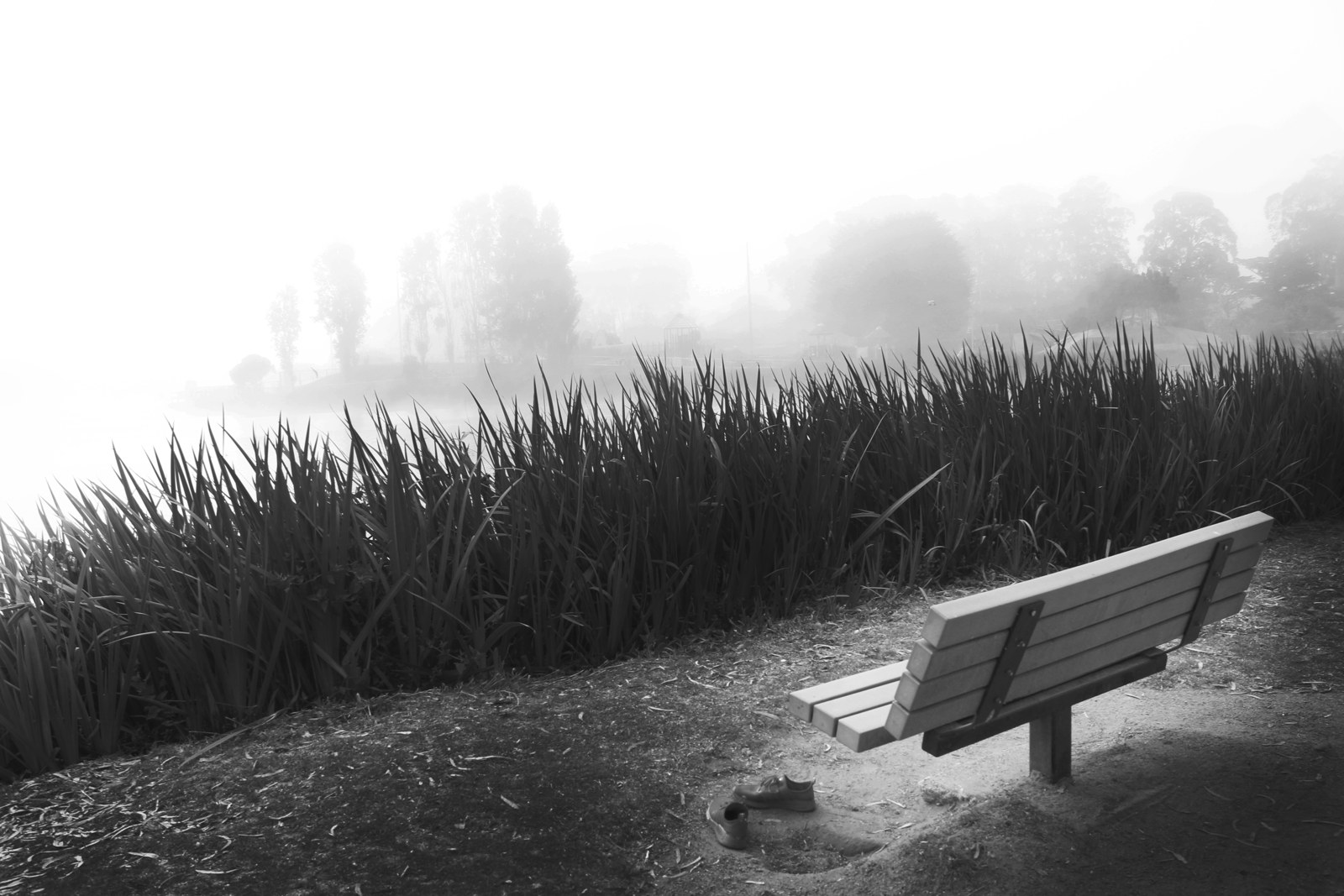 Black-and-white photograph of a bench facing a mist-filled landscape