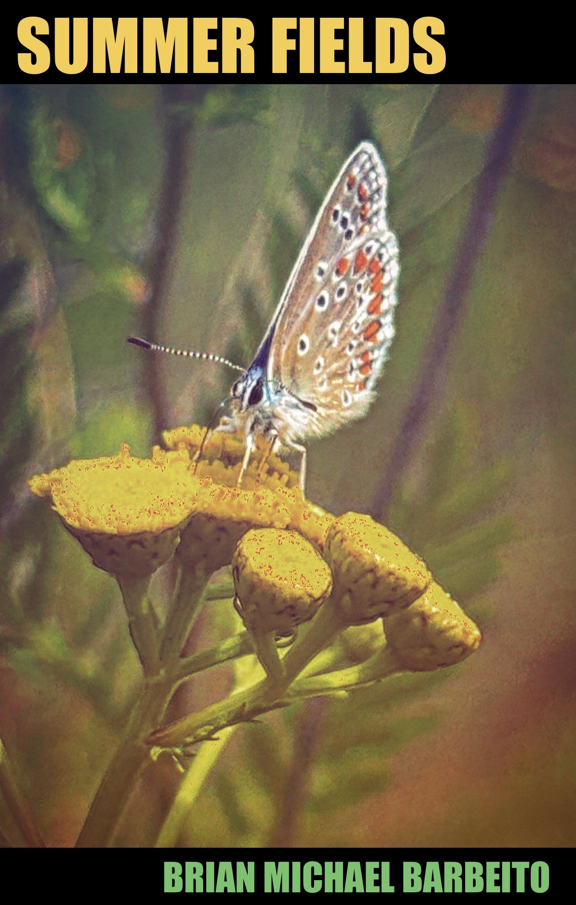 Cover showing a blue butterfly on yellow flowers