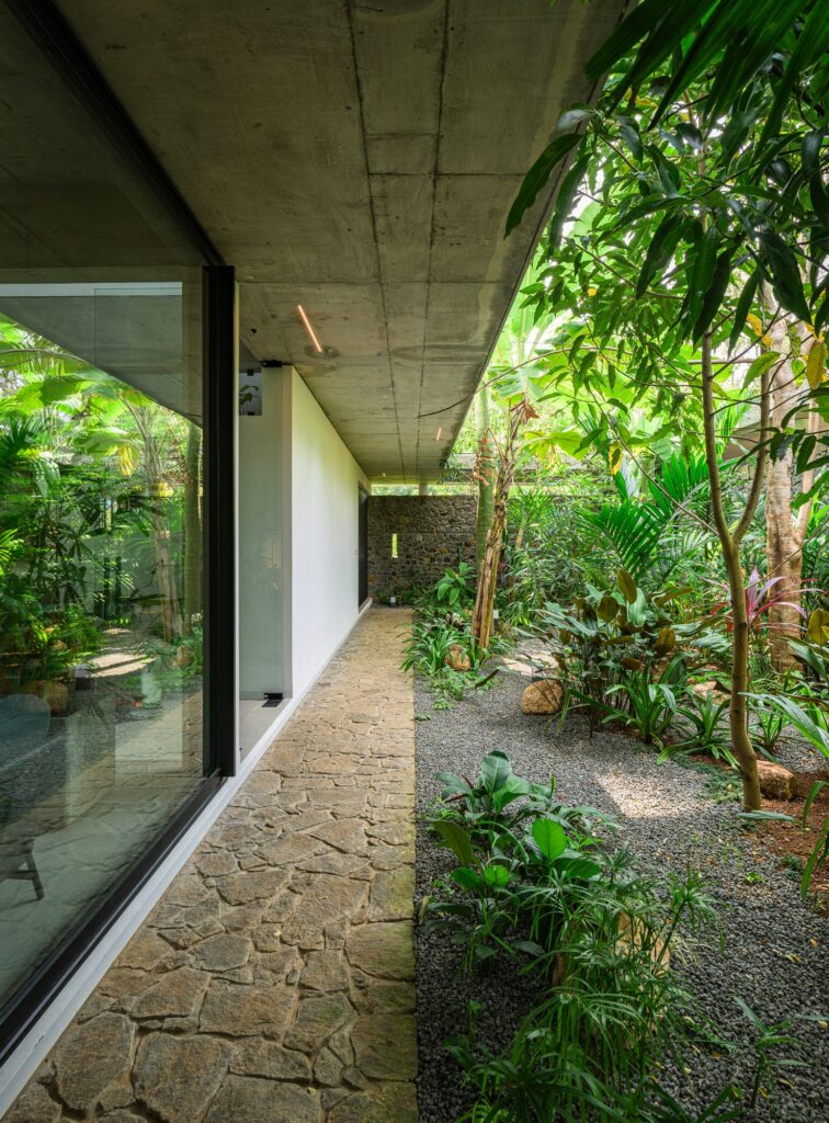 A glazed passage along the planted central courtyard. Photo: Praveen Mohandas