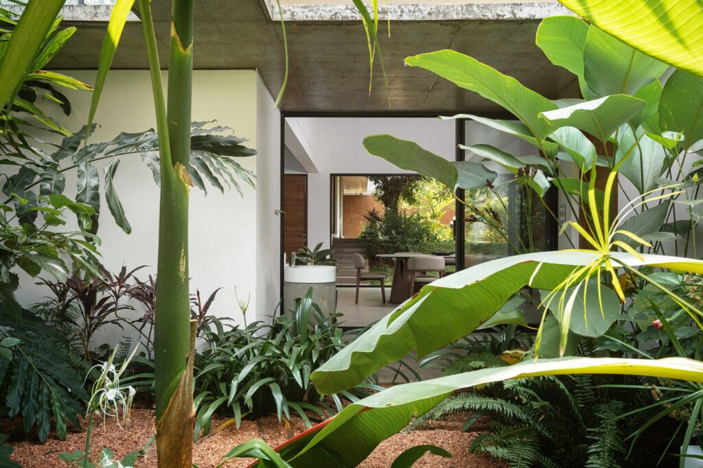 The planted dining court. Photo: Turtle Arts Photography