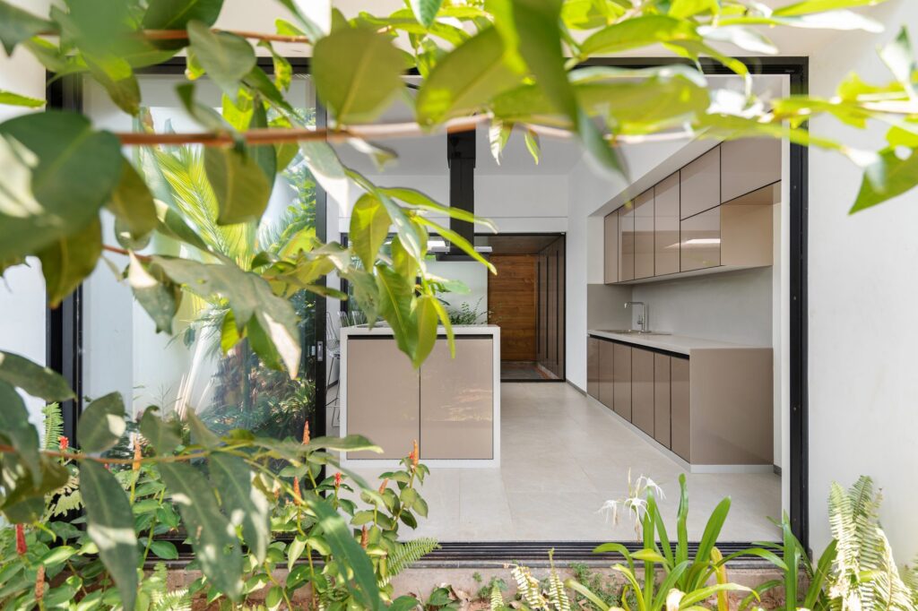 The kitchen, seen through the greenery of the courtyard. Photo: Turtle Arts Photography